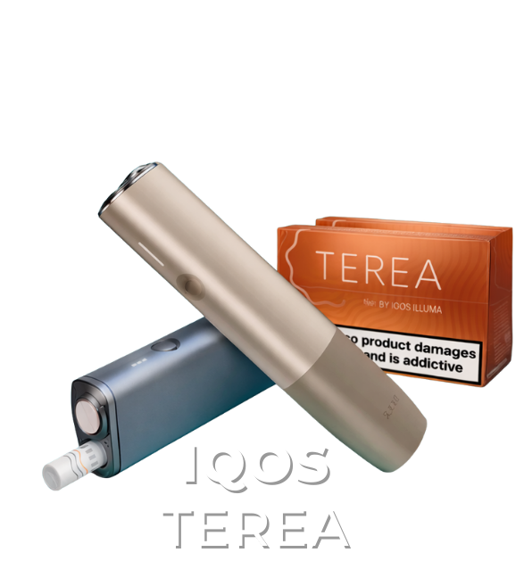 iqos terea sigara